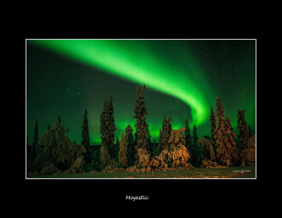 Lannavaara Lodge 3*